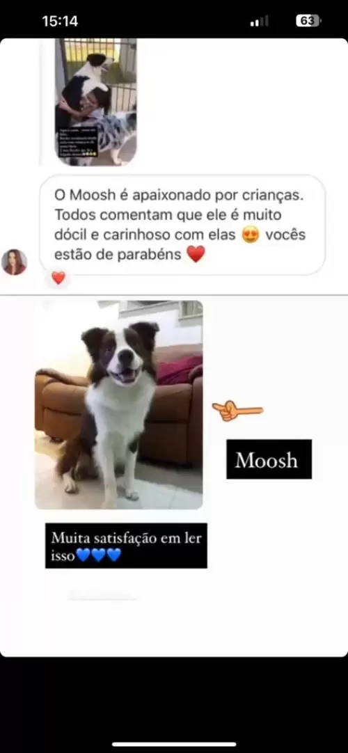 Depoimentos de Clientes